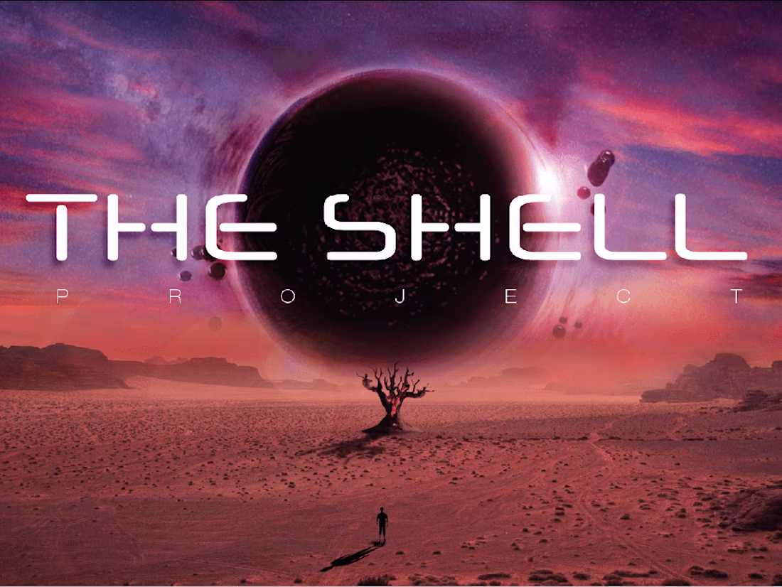 Cover image for Lookbooks & PitchDecks