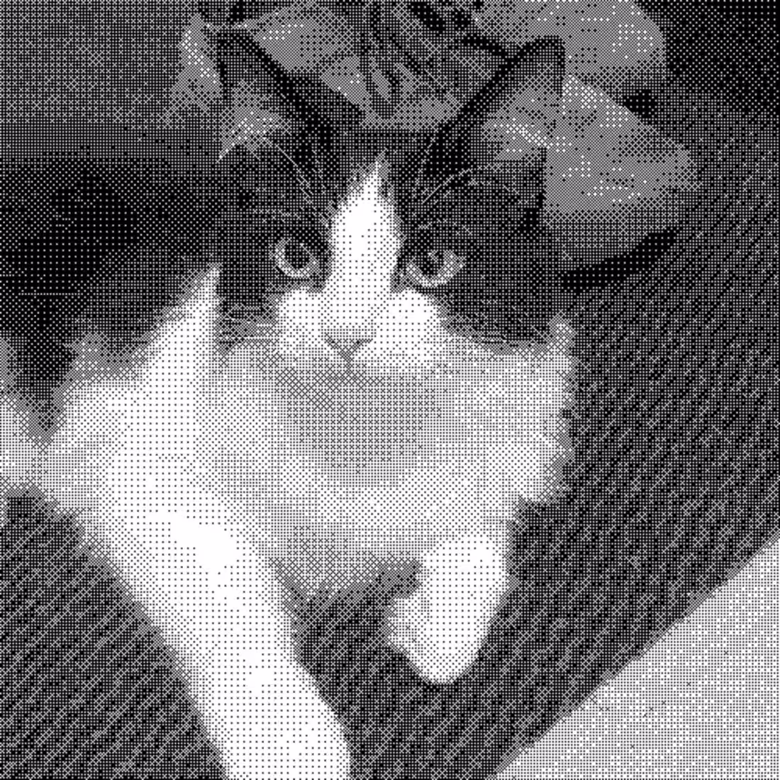 Cover image for Build a full-fledged app using Magic Path? No problem! Nosta...