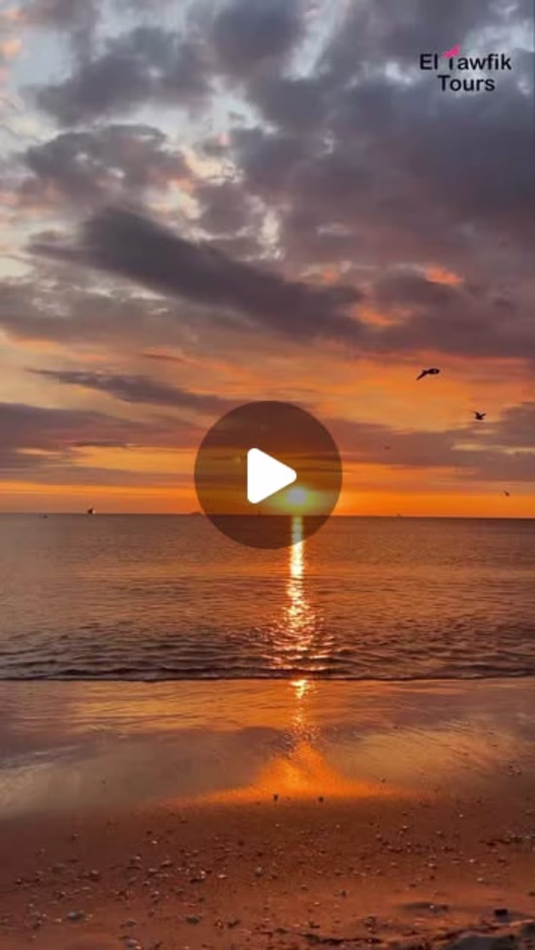 Cover image for Mohamed Hussien on Instagram‎: “Last Editing ElTawifik Travel #…