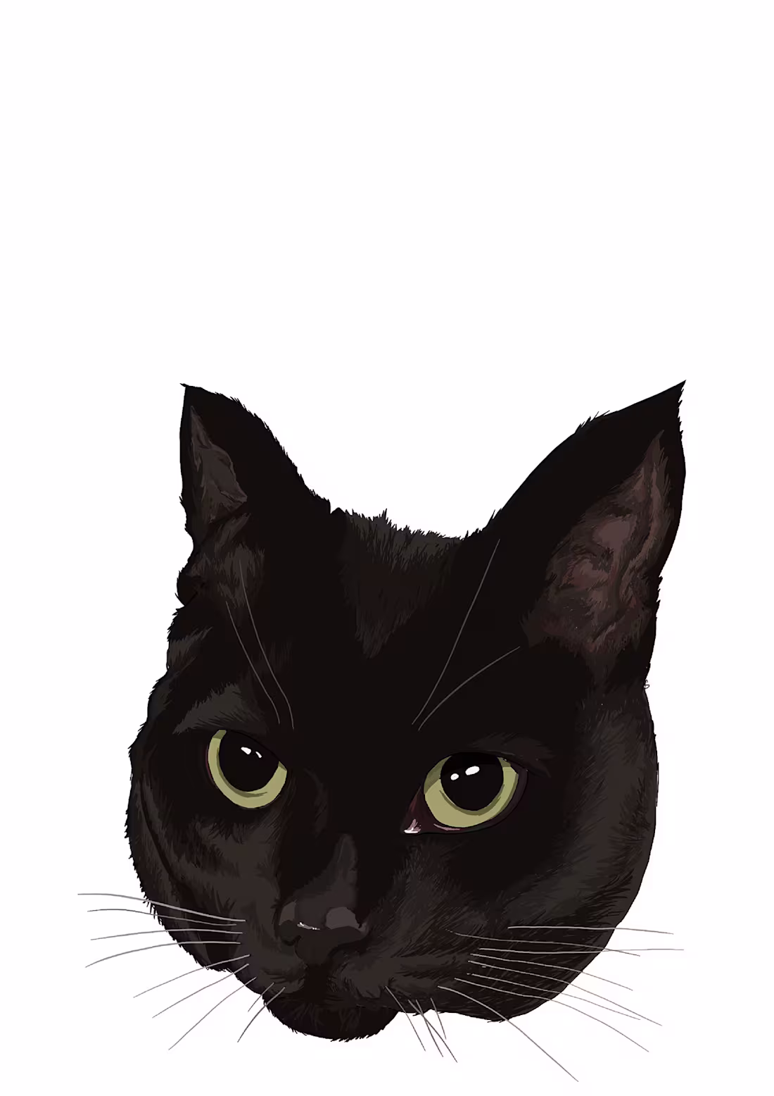 Cover image for Personalised pet portraits :: Behance