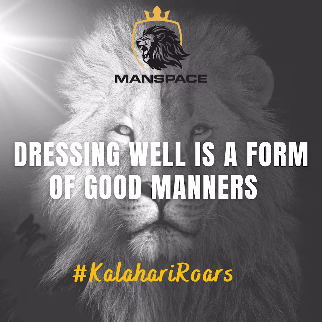 Cover image for YouTube Marketing Video – Customer Feedback Campaign