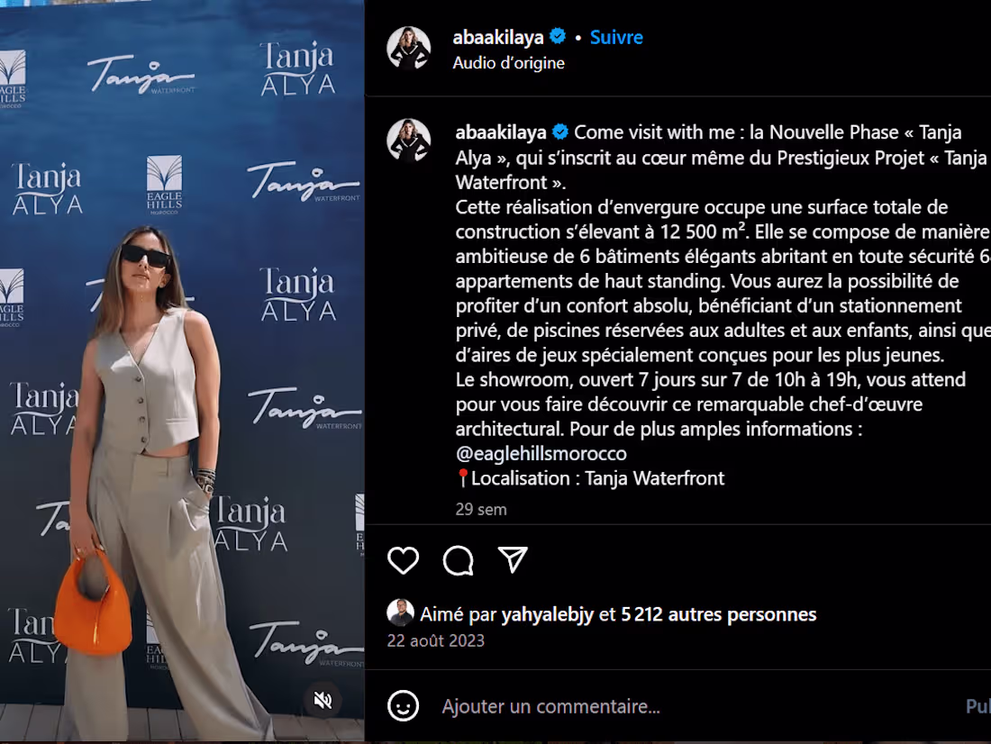 Cover image for Influence Marketing Management