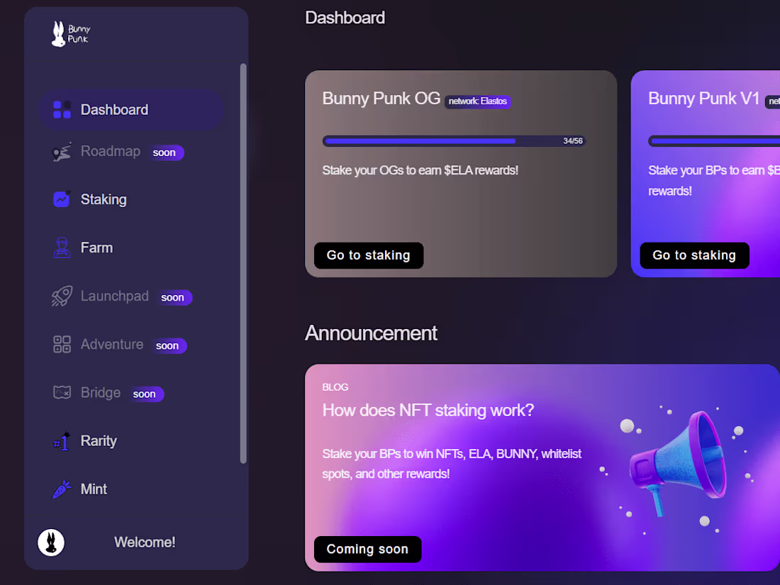 Cover image for Bunny Punk