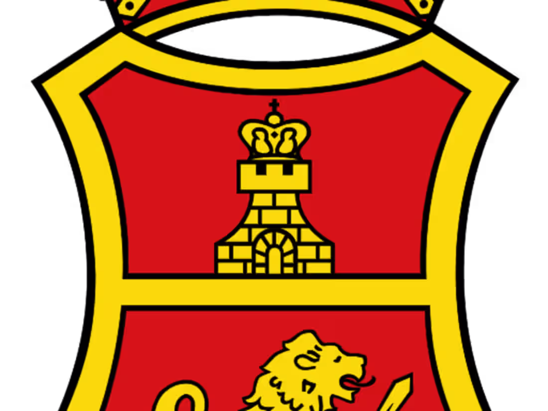 Cover image for San Miguel Corporation