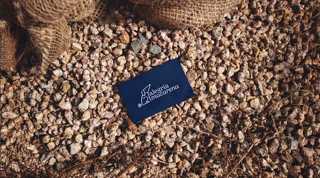 Cover image for 🦮Alegría Macarena - Pet Accessories with a Human Touch.