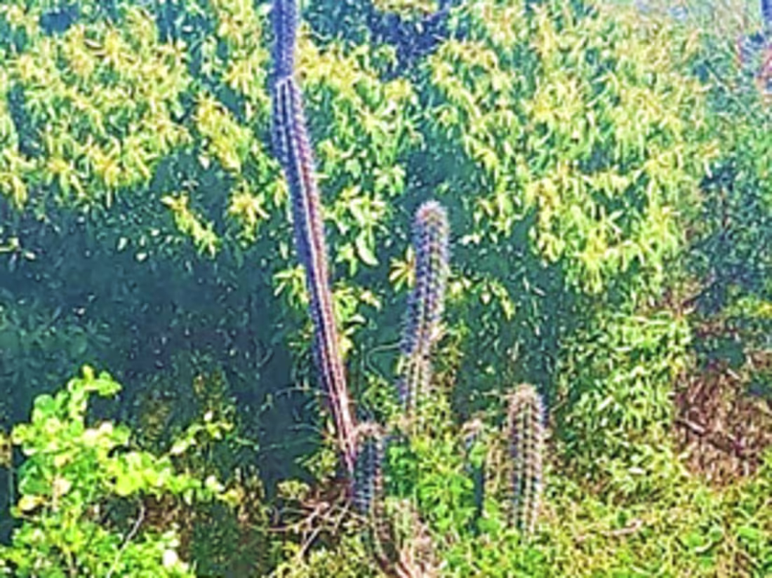 Cover image for Comprehensive Academic Research Paper