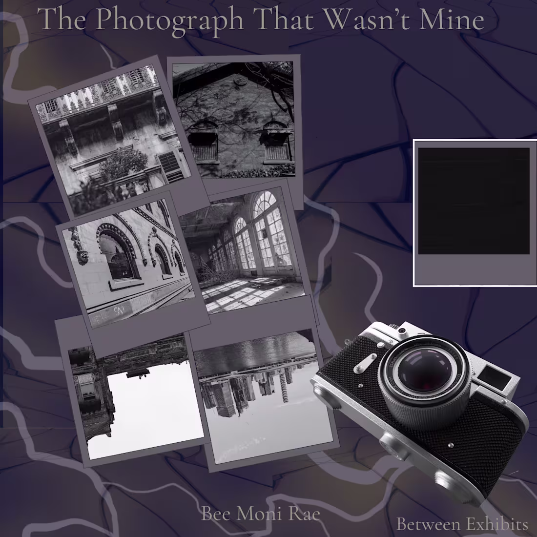 Cover image for Between Exhibits - Literary Fiction