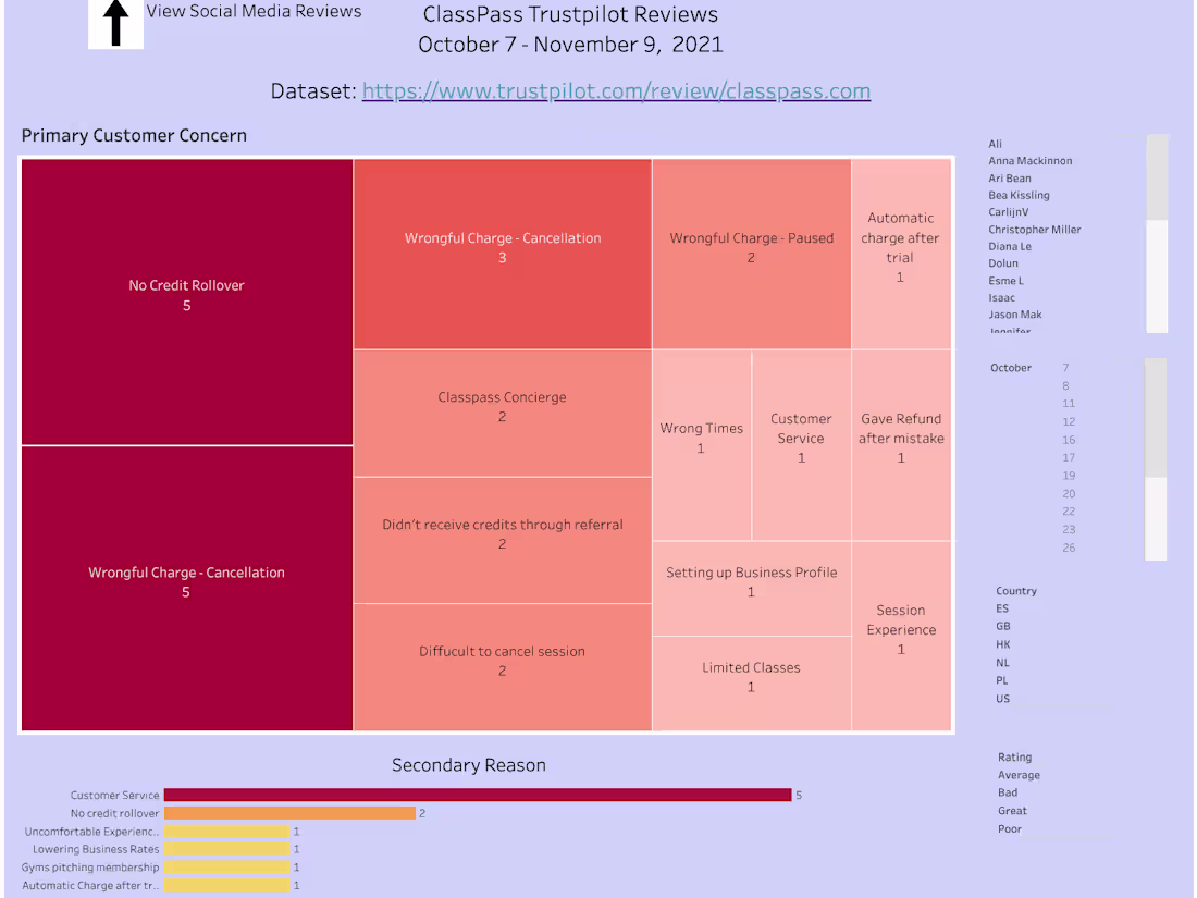 Cover image for Voice of Customer Analysis