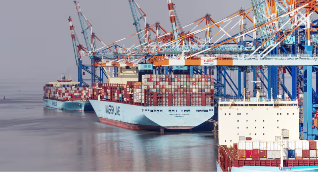 Cover image for 1,700-word blog for Hive: What is an EORI number? A guide