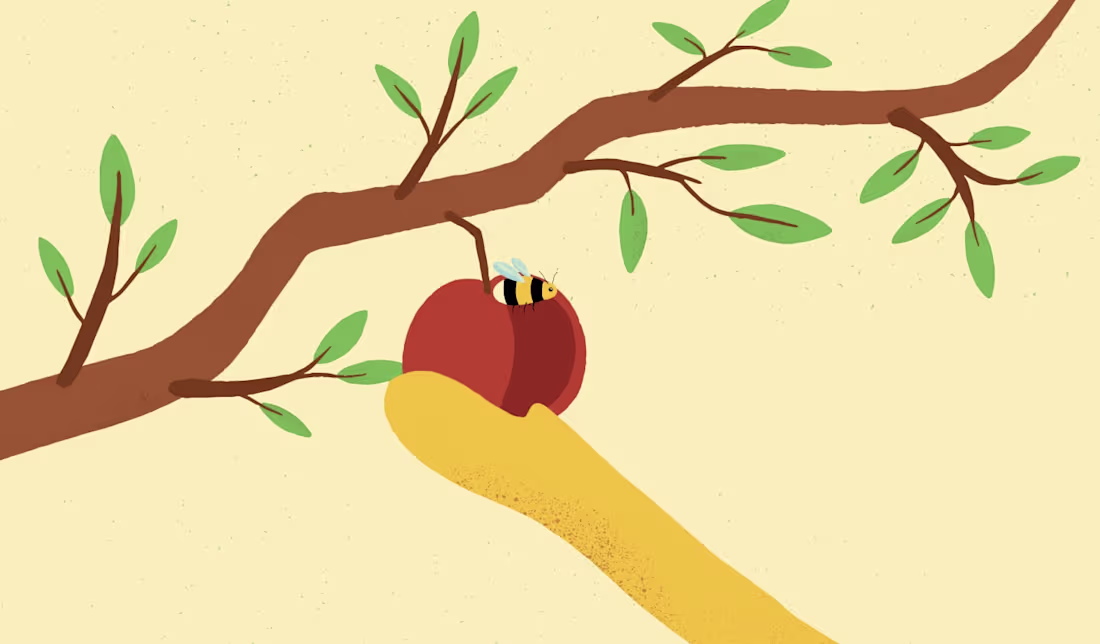 Cover image for Creating the framework for a purpose-led food animation