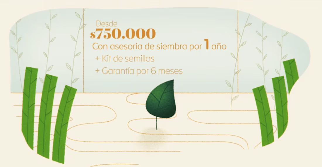 Cover image for Motion Graphics