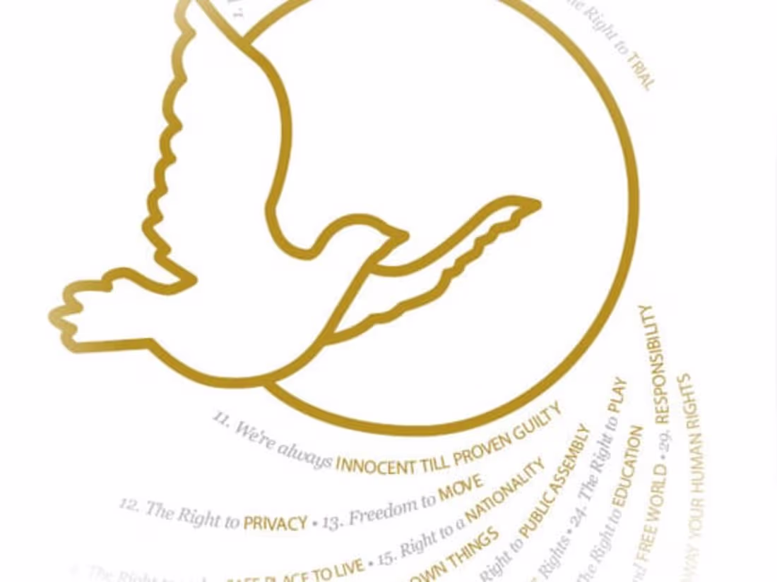 Cover image for UNITED FOR HUMAN RIGHTS