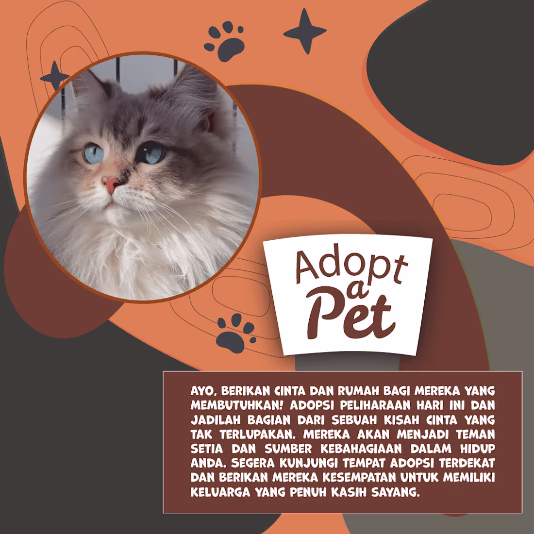 Cover image for Instagram Post Feed