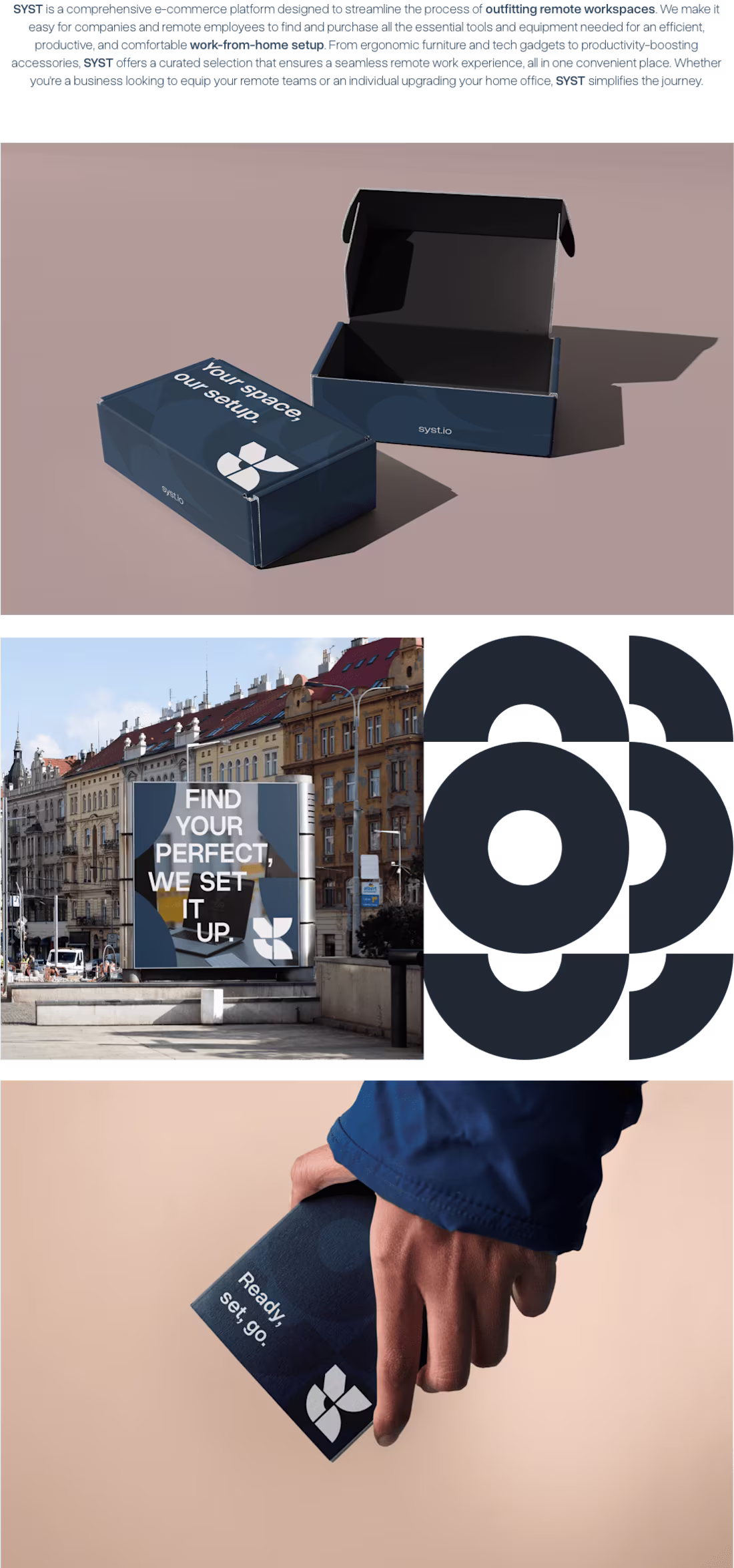 Cover image for Syst