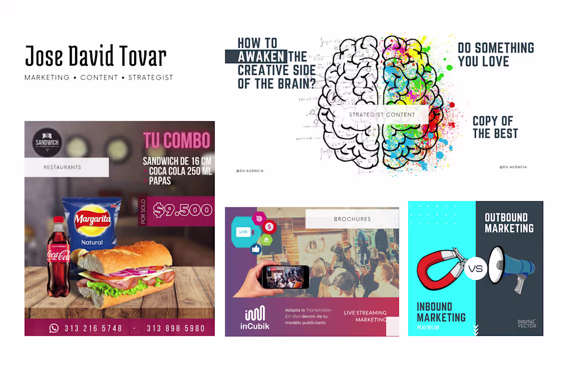 Cover image for Visual Identity & Marketing Assets: