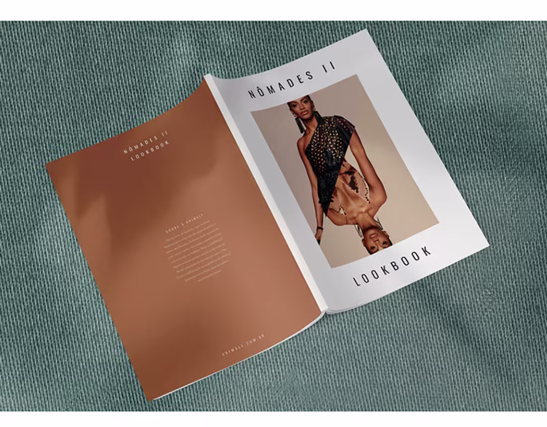 Cover image for Lookbook