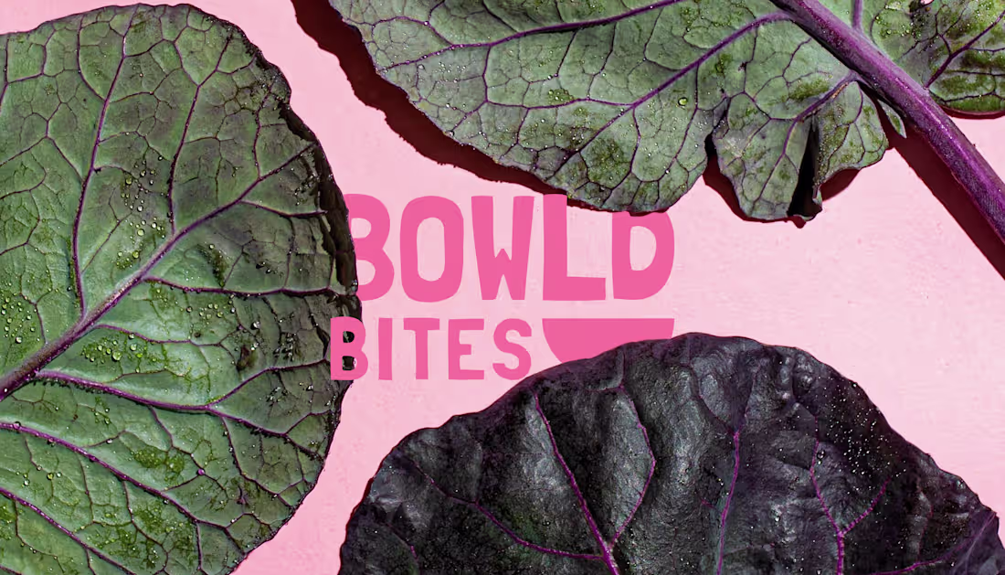 Cover image for BOWLD BITES - Brand Identity & Social Media on Behance