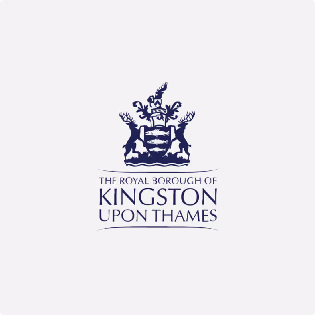 Cover image for Kingston Council