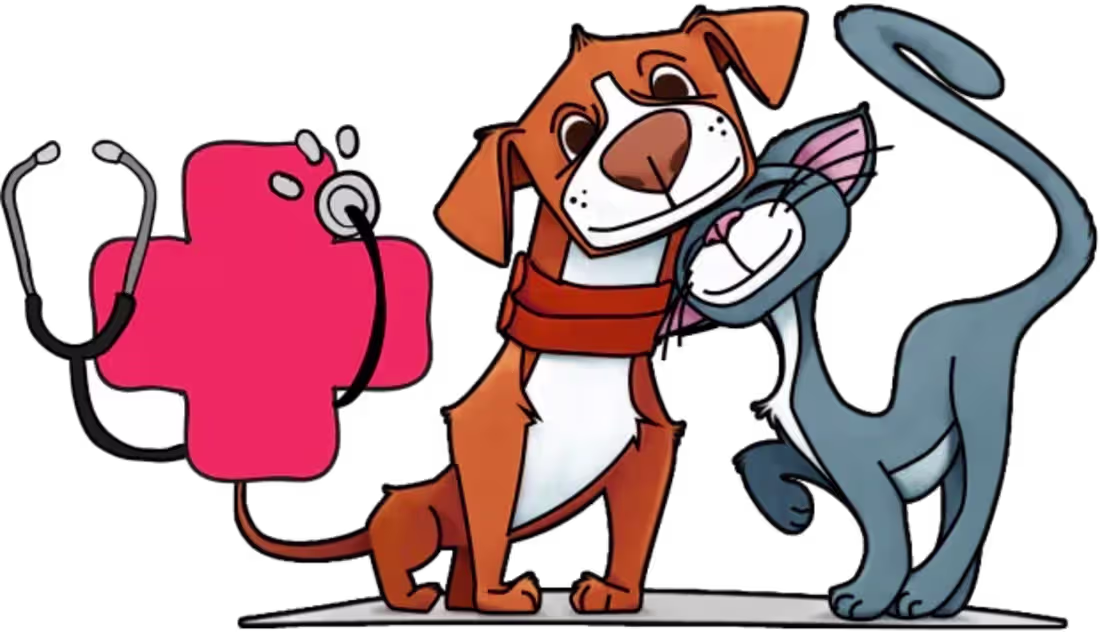 Cover image for How an ESA Letter Online Saves Your Health and Wallet?