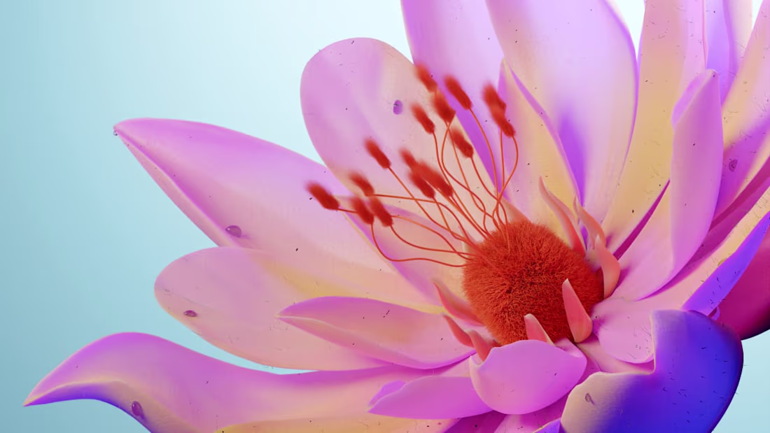 Cover image for Flowers