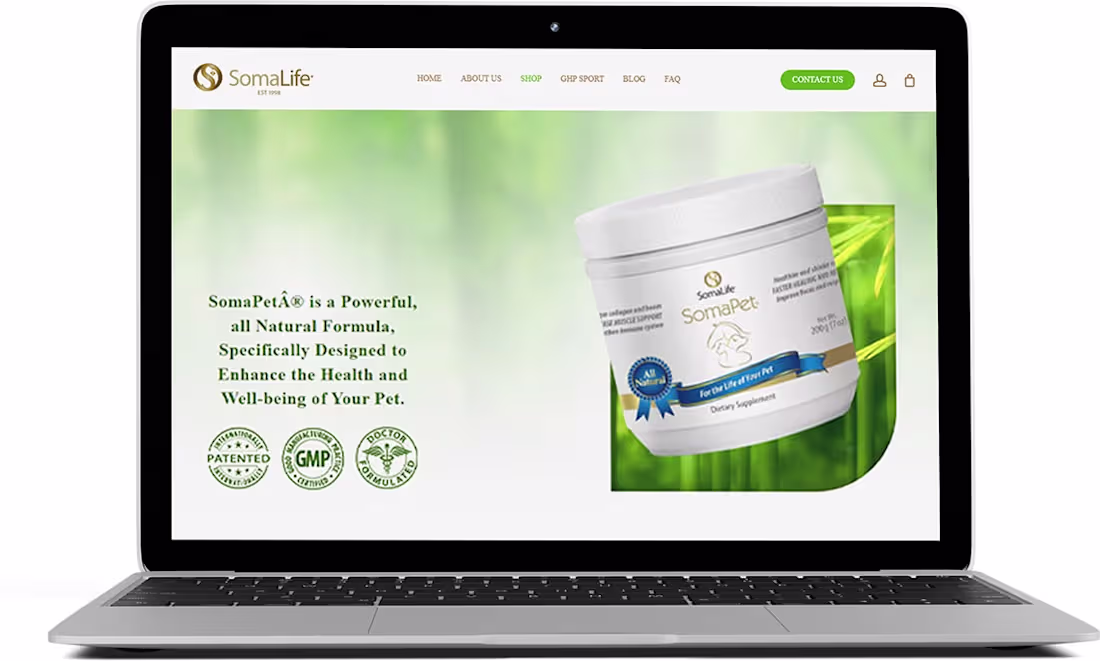 Cover image for Revolutionizing Pet Health And Wellbeing