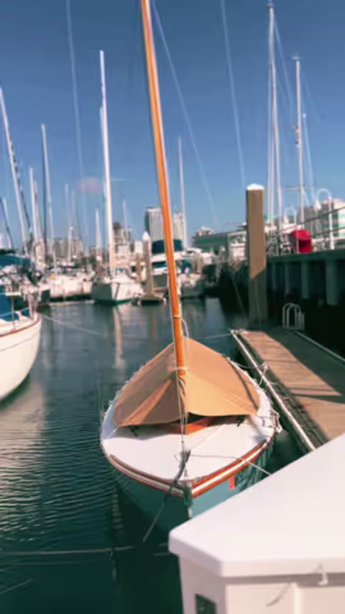 Cover image for Tiktok video editing and management 🎥