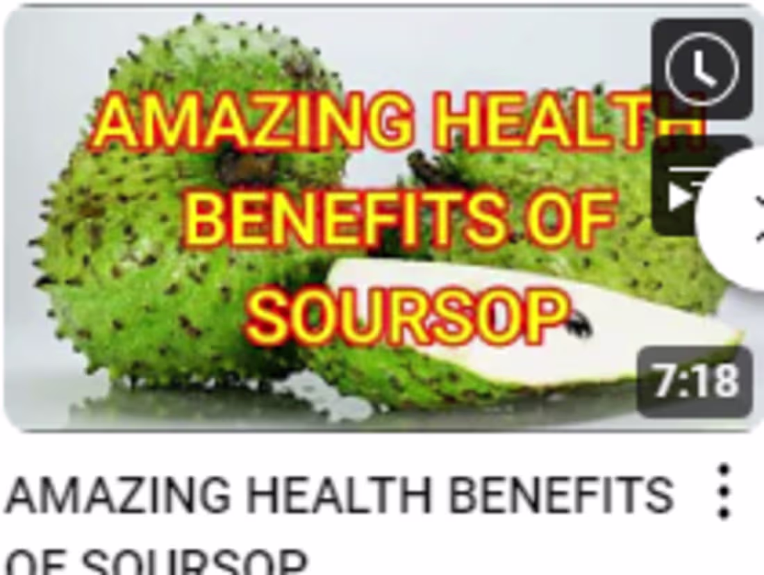 Cover image for AMAZING HEALTH BENEFITS OF SOURSOP - YouTube