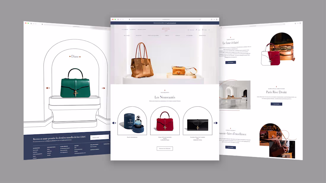 Cover image for Luxurious bag Brand Redesign