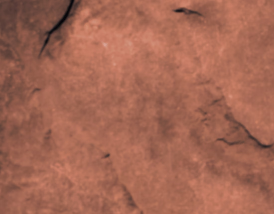 Cover image for TRAP | SHORTFILM | DIRECTED BY CHINMAY 