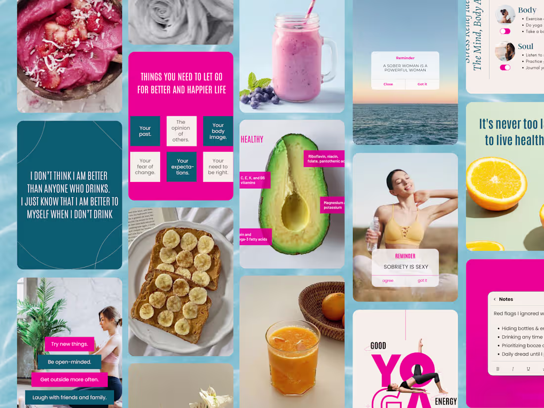 Cover image for Sober Health Club