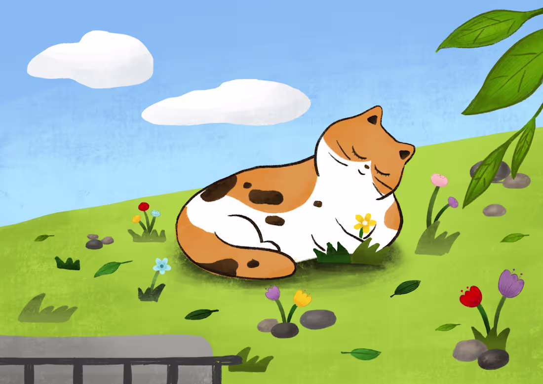 Cover image for A cat in the yard 1