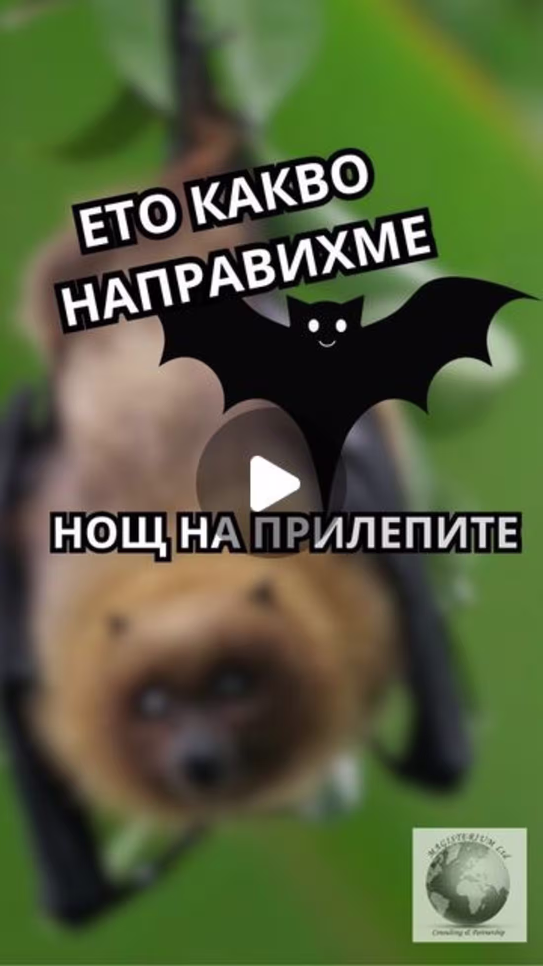 Cover image for Videos for your firm