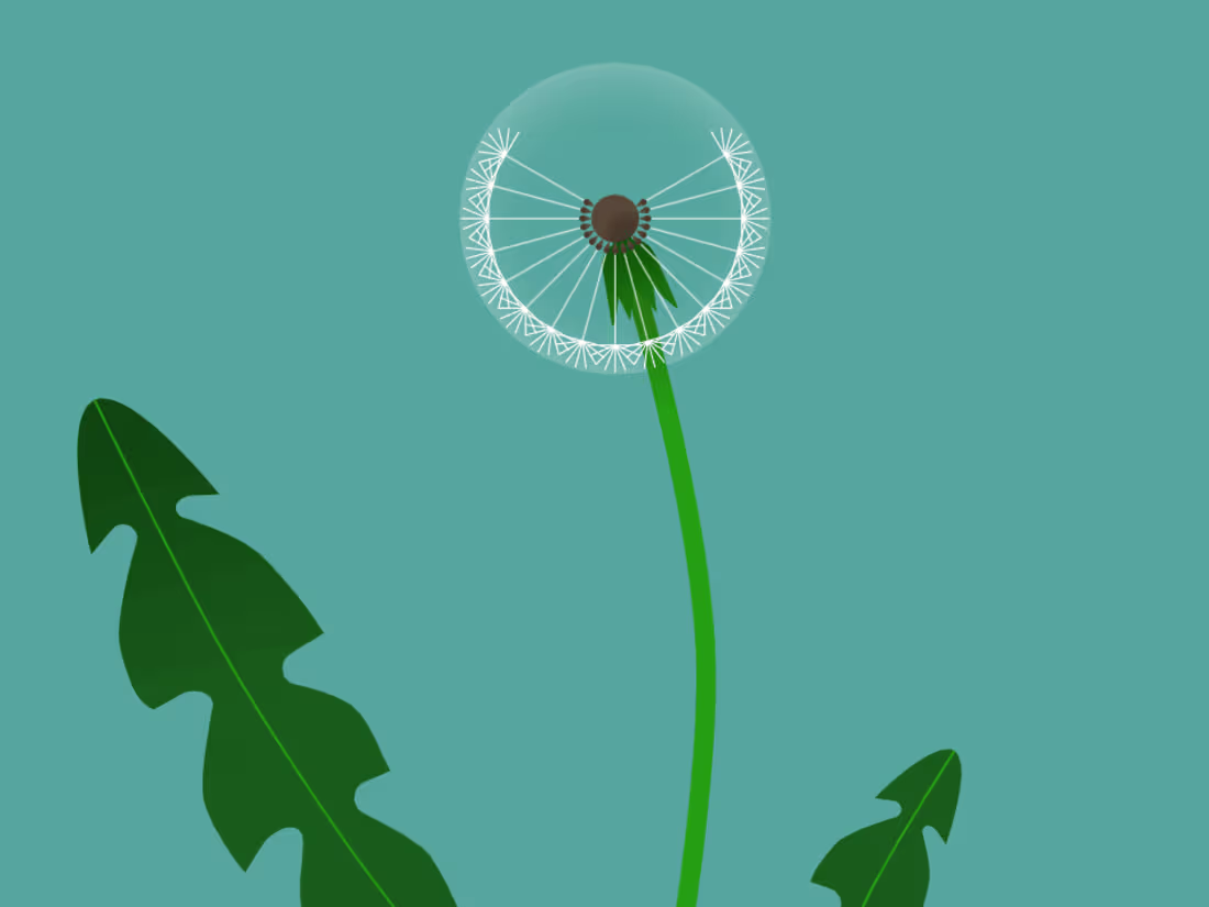 Cover image for Dandelion