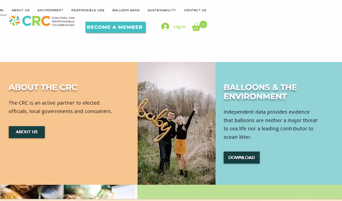 Cover image for Build Custom functionality in Wix