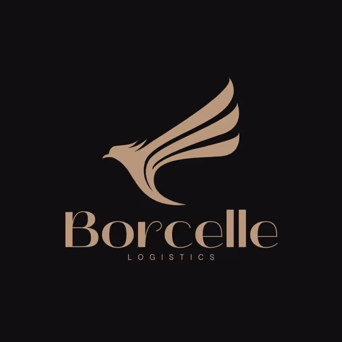 Cover image for The Logo i made for