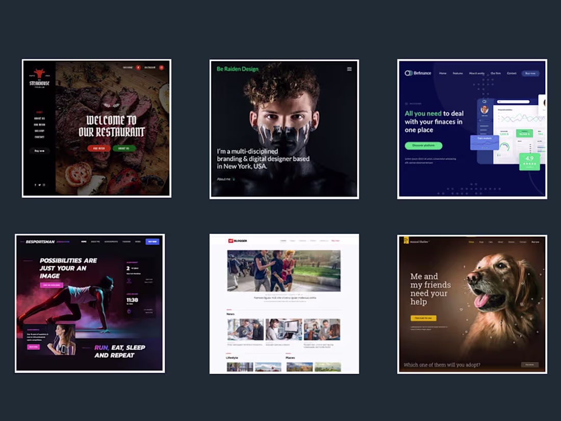 Cover image for WordPress WooCommerce Store Development