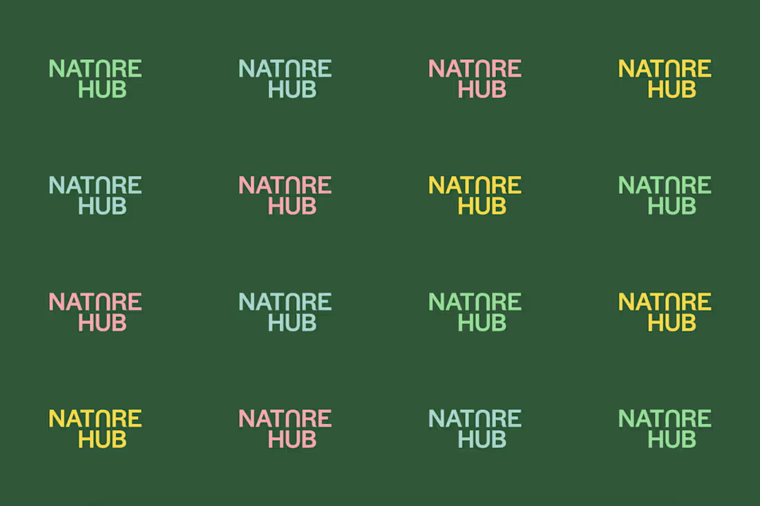 Cover image for Nature Hub Visual Identity