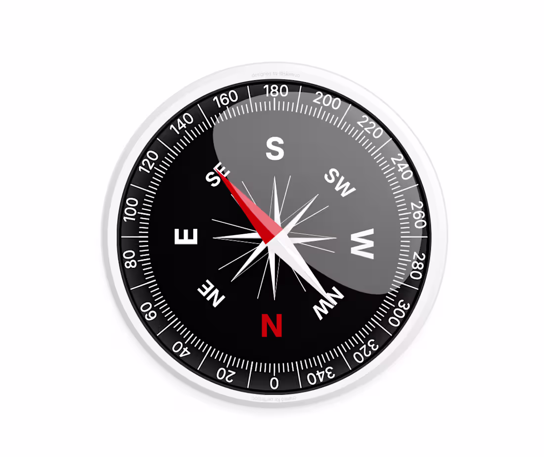 Cover image for I call myself skewüo because