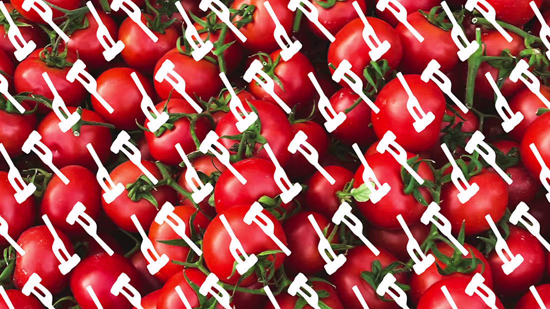 Cover image for Aladdin - Restaurant Rebranding