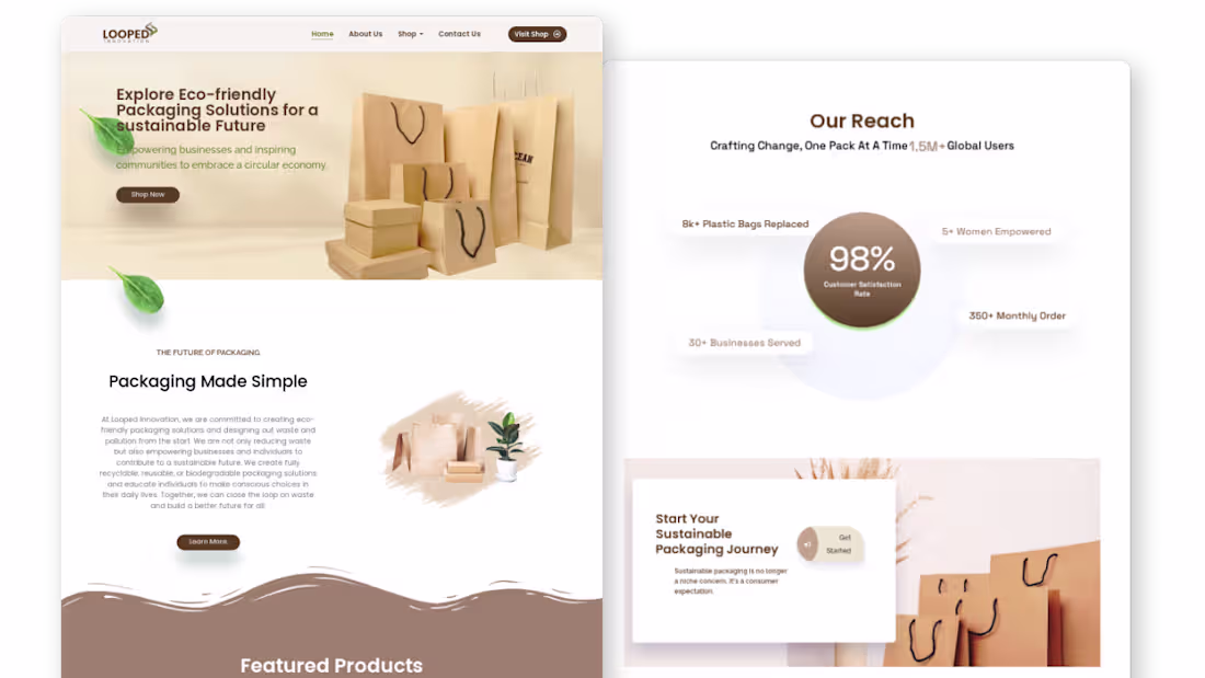 Cover image for Brand Boosting WordPress E-Commerce Web Dev - Elementor 