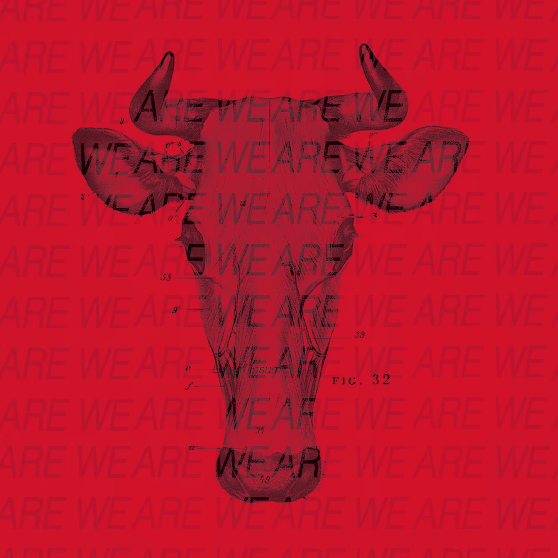 Cover image for Mock Animal Cruelty Protest Social Media Series