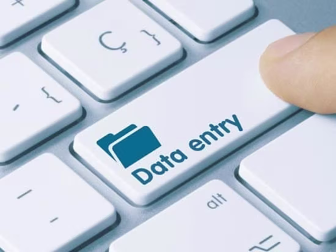 Cover image for Efficient Data Entry and Data Management