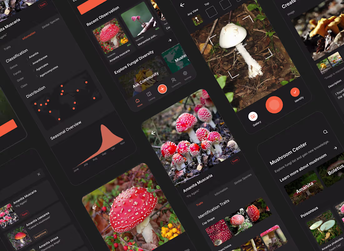 Cover image for Funginder