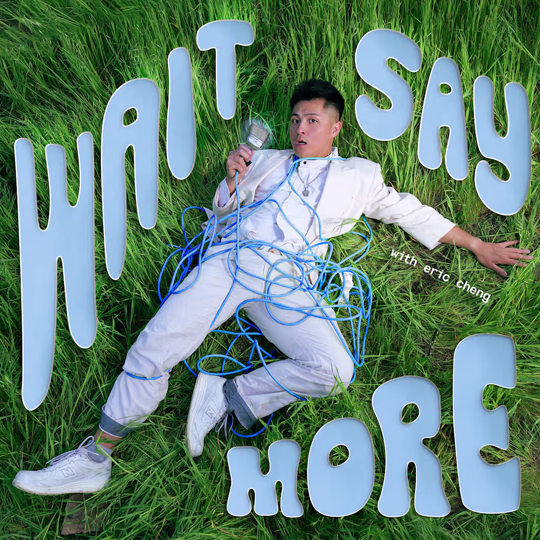 Cover image for Wait, Say More Cover Art