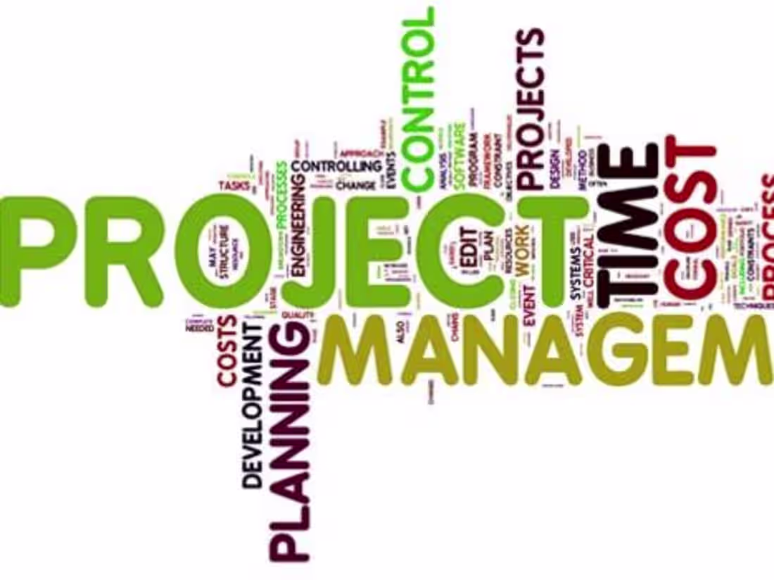 Cover image for Project Coordination