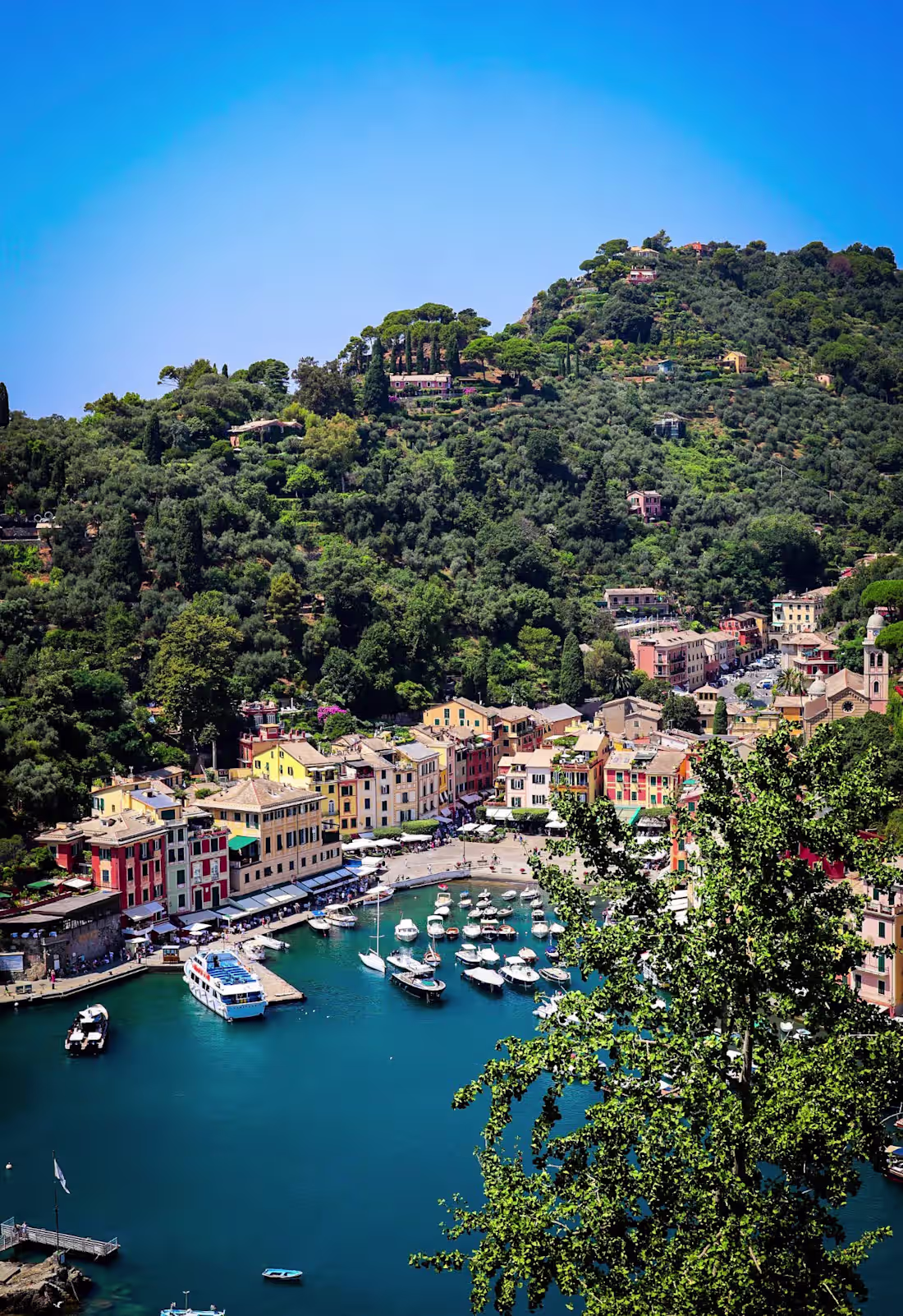 Cover image for Videography + Drone