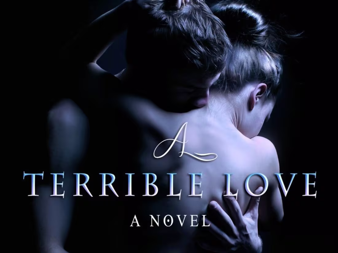 Cover image for Published Novel