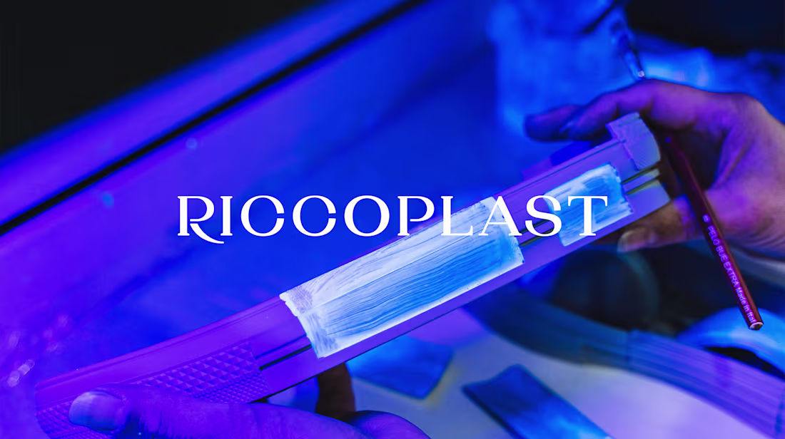 Cover image for Modeled elegance: a modern brand for B2B footwear production