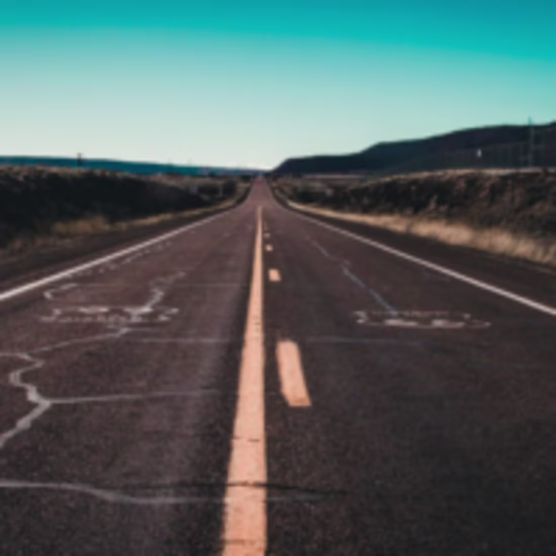 Cover image for A Renaissance Among Scorpions