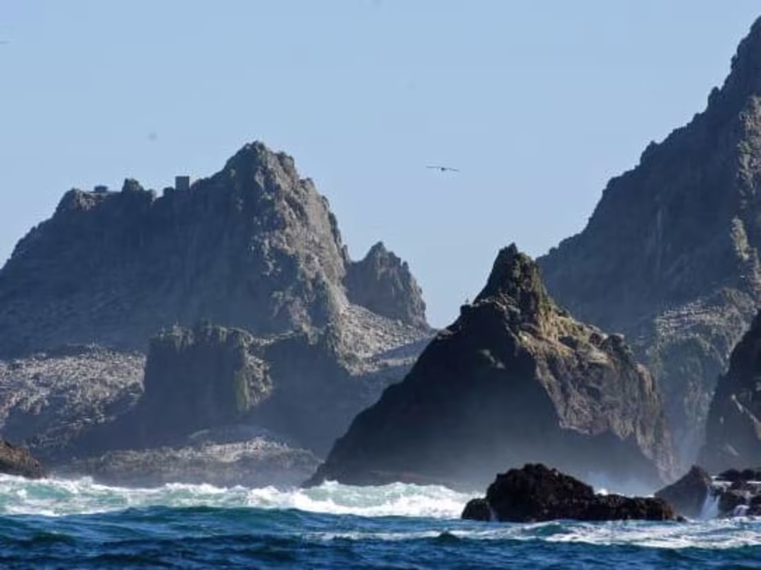 Cover image for Project Management of Financial Services Integration